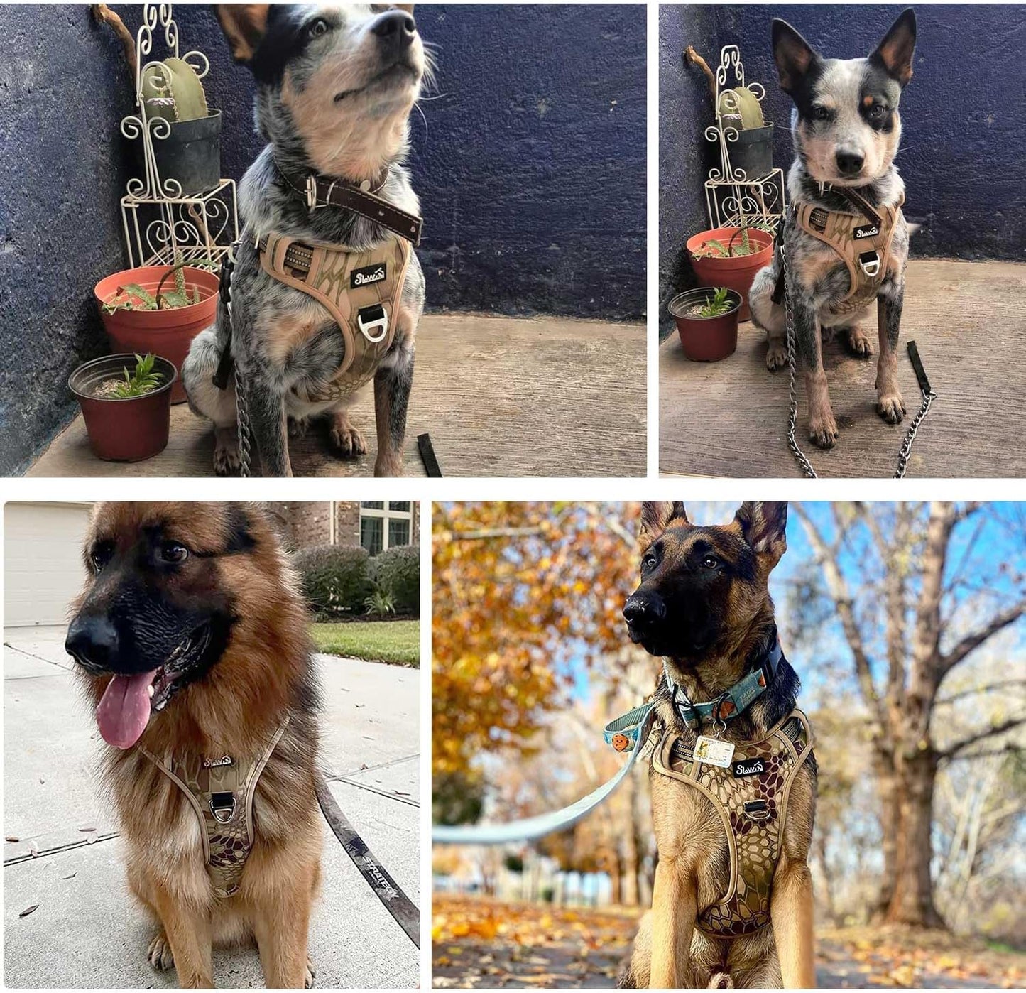 No Pull Dog Harness, Heavy Duty No Choke Pet, Yellow Camo, M | Adjustable Soft Padded Dog Vest for Small, Medium and Large Dogs, with 2 Leash Clips and Easy Control Vertical Handle