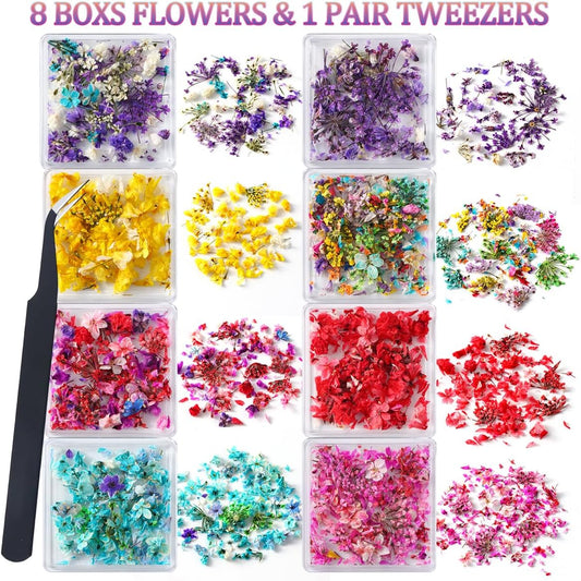 8 Boxs Dried Flowers for Nail Art,Colorful Mini Real Natural Flowers | Nail Art Supplies 3D Gypsophila Floral Mixed Tiny Petals Decoration Kits for Resin Jewelry DIY Crafts Manicure Accessories
