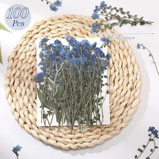 100 Pcs Natural Forget Me Not Pressed Dried Flowers Blue Don't Forget Me Dried Flower Real for Resin Jewelry Candle Card Making Nail Art DIY Home Decoration