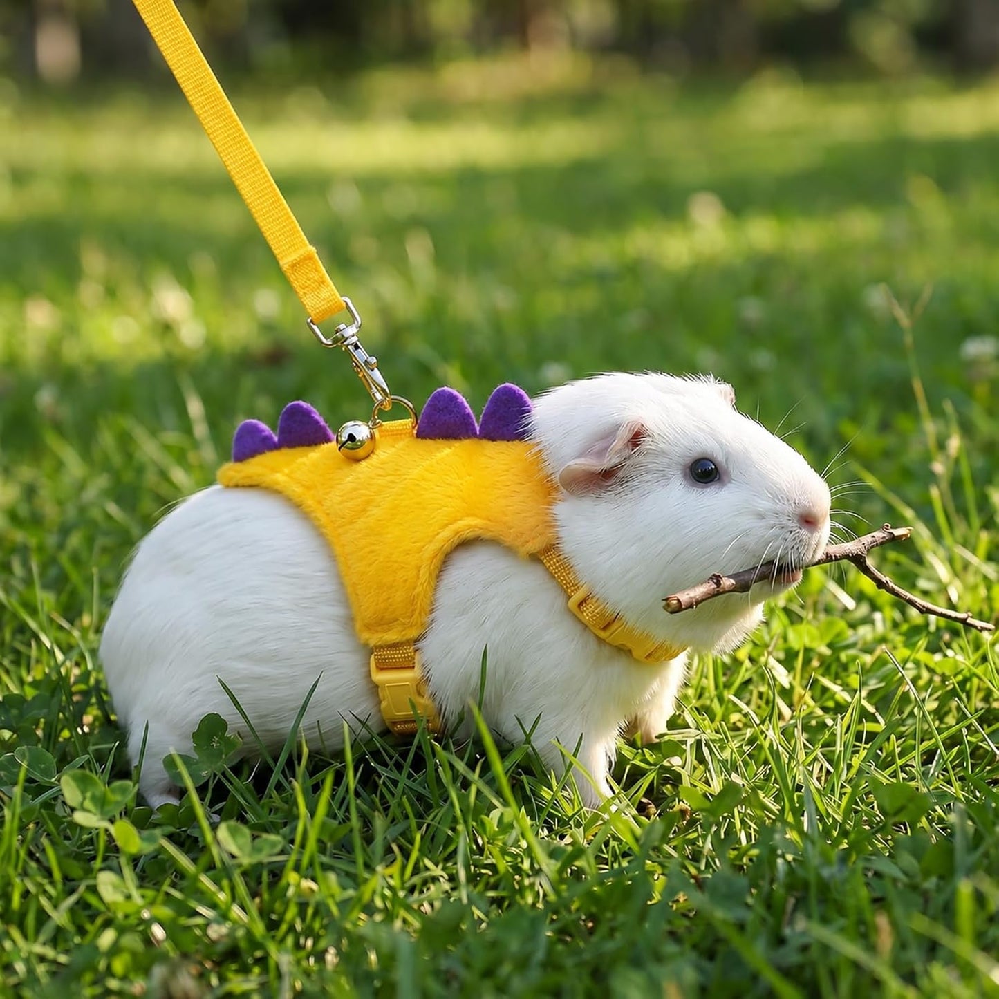 Ferret Harness and Leash Set, Yellow Adjustable Vest for Ferret | Dinosaur Shaped Leash with Safe Bell, Small Animals Vest Harness for Hedgehog, Guinea Pig, Rabbi