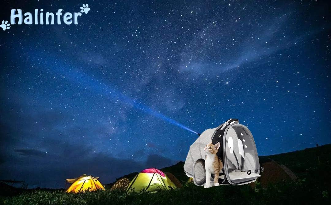 Expandable Cat Backpack Carrier, Fit up to 12 lbs, Space Capsule Astronaut Bubble Window Pet Backpack for Kitten, Bunny, Rabbit and Small Puppy Yellow