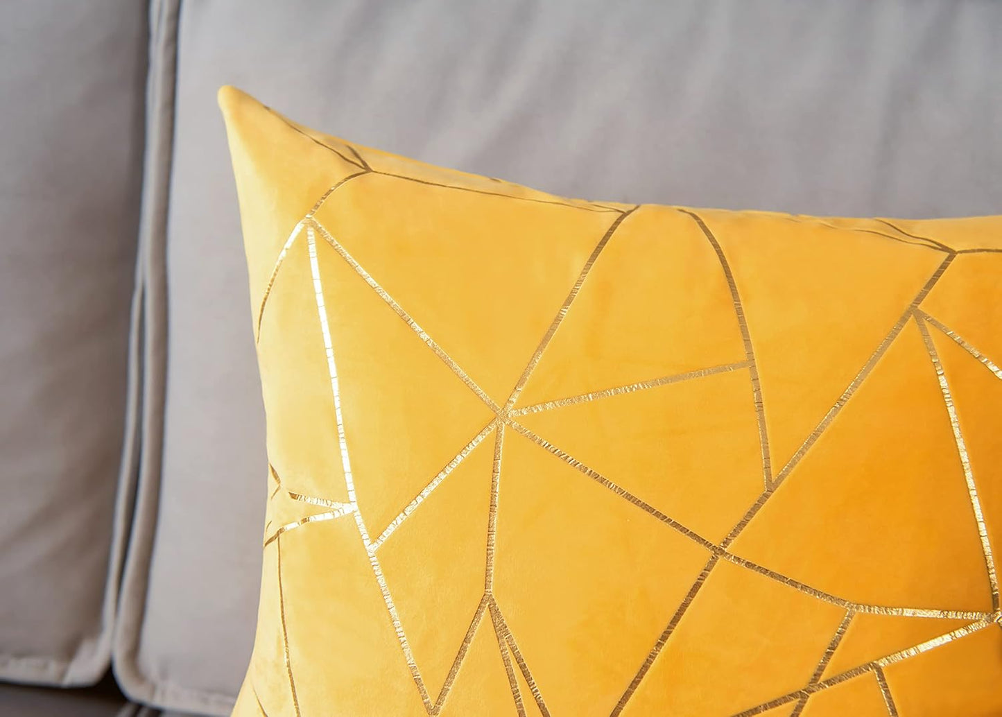 Throw Pillow Covers Velvet Decorative 2 Packs Ultra-Soft Cushion Case for,Christmas,Sofa,Bedroom,Car Living Room (Lemon Yellow, 20"X20")