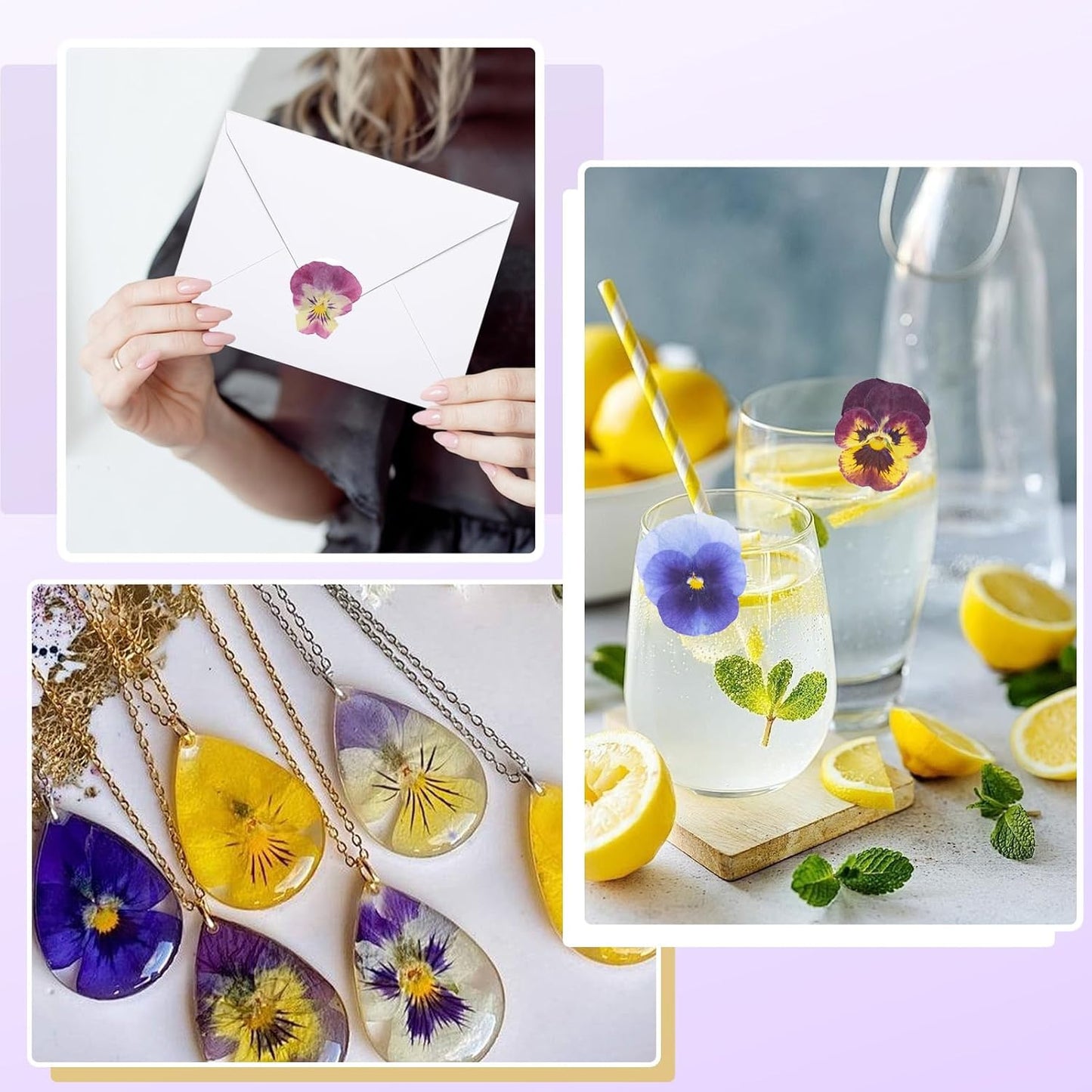 48Pcs Natural Dried Pressed Flowers for Cake Topper Decorating Mix Real Dry Flower for Resin Jewelry Making DIY Art Crafts