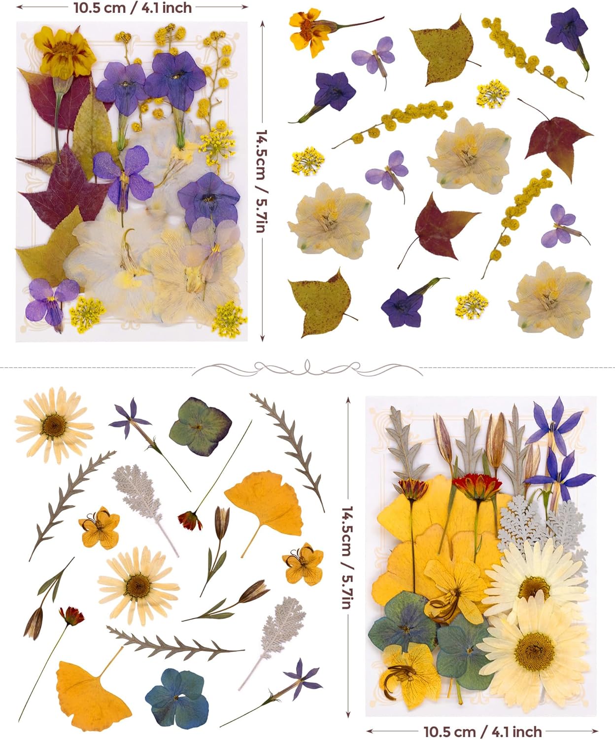Real Dried Pressed Flowers for Resin Molds, Natural Bulk Floral Leaves | Vacuum Packed Botanical Assortment, Epoxy Jewelry Supplies, Scrapbooking DIY Art Crafts, Candle Soap Making