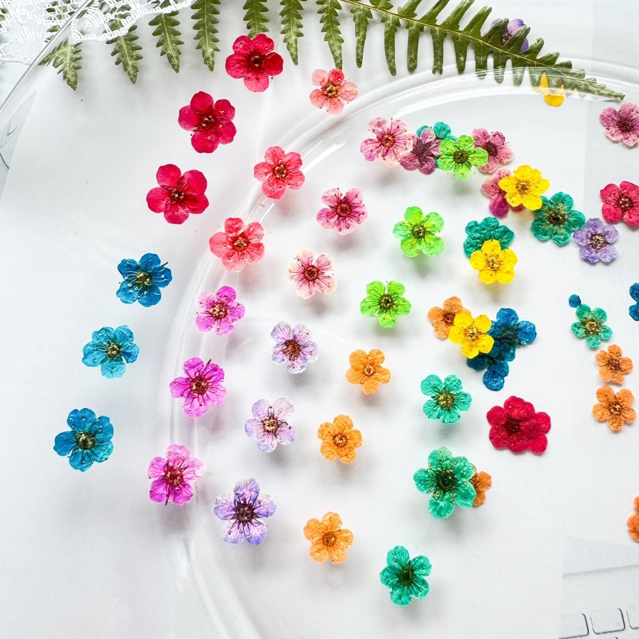 Mini Dried Flowers for Resin Nail Art, 120 Pcs Small Tiny Real Natural Dry Flowers Five Petal Flowers for for Nail Art, Resin Jewelry, Candle Making, Soap Making and DIY Crafts