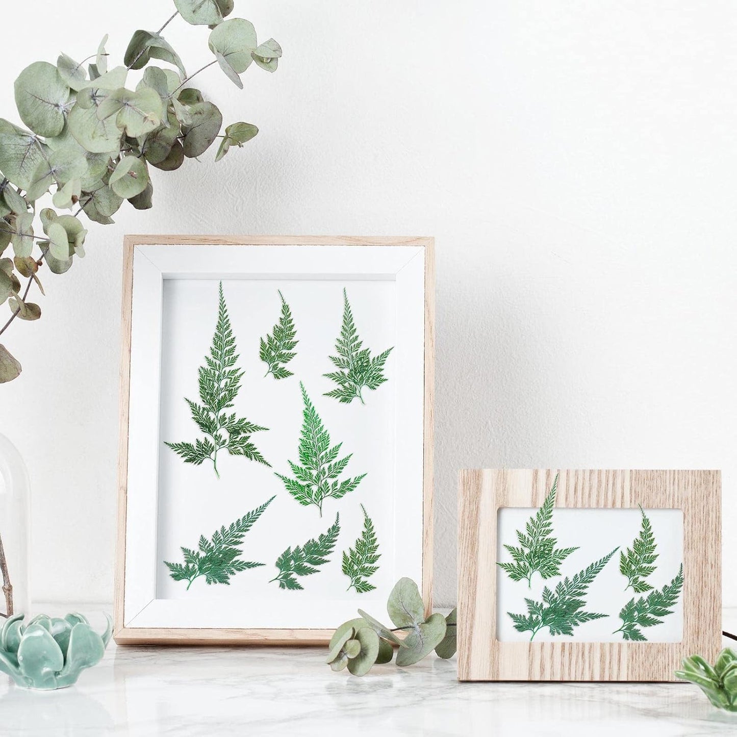200 Pcs Dried Pressed Green Leaves Flowers Small Dry Preserved Natural Ferns Real Dried Greenery Plant Leaf for Gifts Card Decor Resin Arrangements Home Wedding Art DIY Crafts Decors