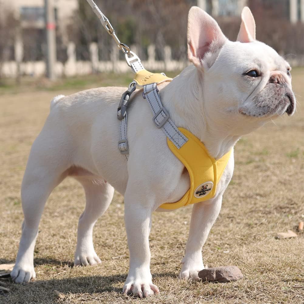 Dog Harness Pet X Frame No Pull Step-in Harnesses with Leash Set, Adjustable Reflective Choke Free Puppy with Padded Vest for Small, Medium Dogs and Cats Walking Training