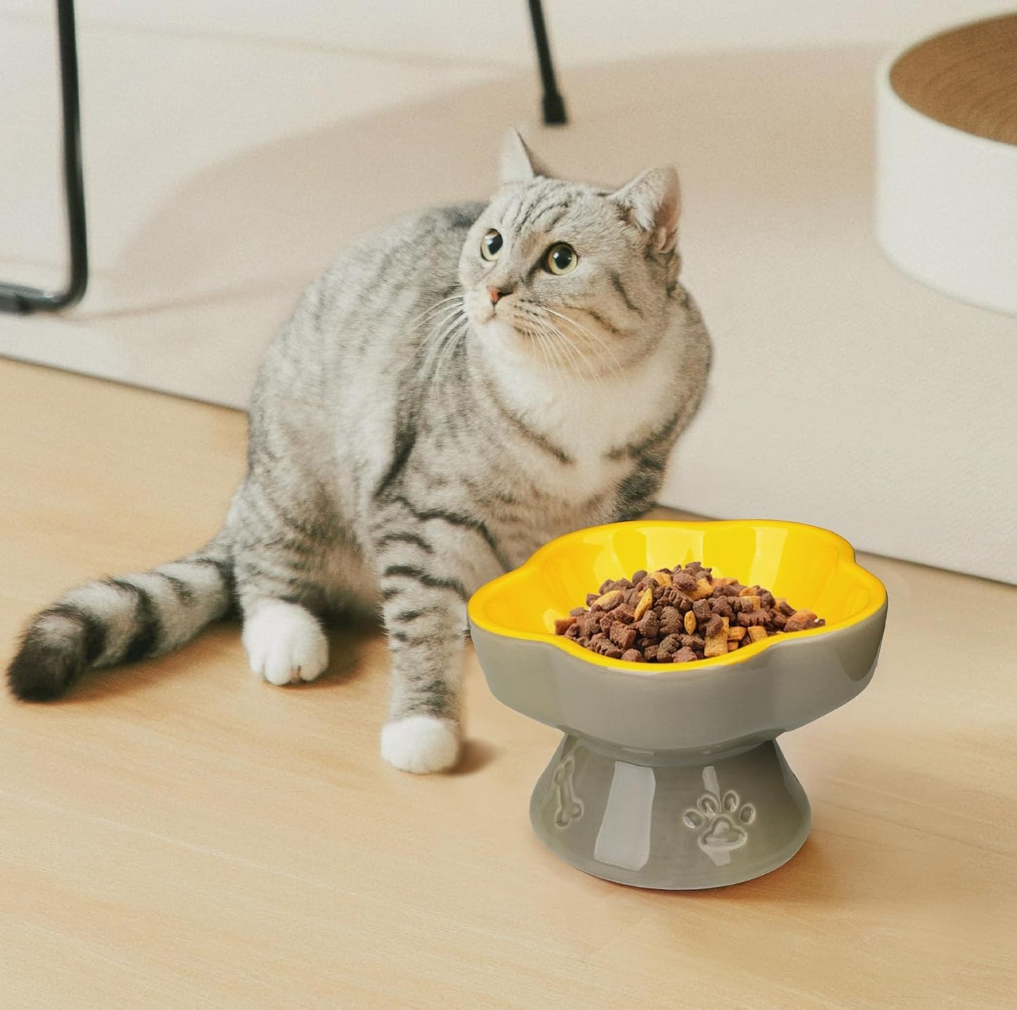 Raised Cat Bowl, Elevated Cat Bowl for Food and Water, Ceramic Titled Dish, Anti Vomit & Whisker Friendly, Microwave and Dishwasher Safe (Yellow, 5.8")