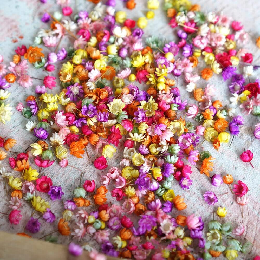 710pcs DIY Dried Flowers Scattered Aromatherapy Candle Epoxy Resin Pendant