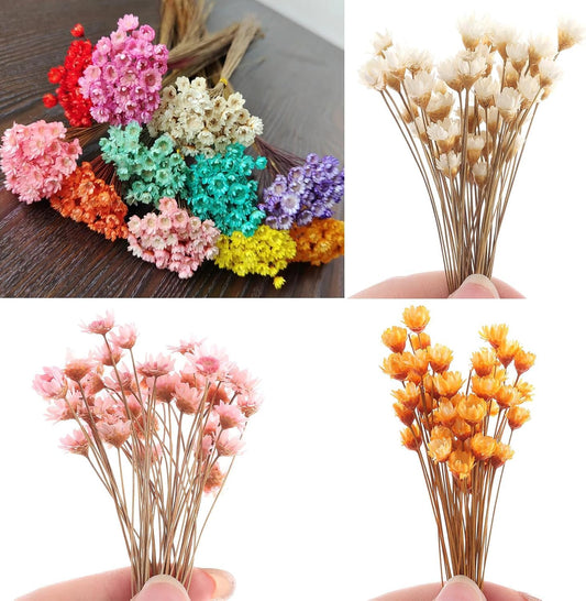 300PCS Dried Flowers Brazilian Small Star Daisy, 15" Decorative Natural Mini Chamomile Bouquet, Floral Arrangements for Wedding Party Home Decor, Dried Flowers Bundles for DIY Craft