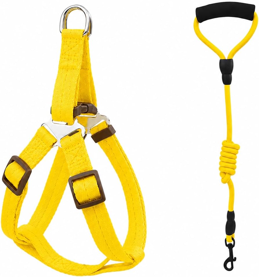 Mini Pig Harness, Adjustable Small Pig Harness with Leash Infinity Style Lead and Soft Foam Handle for Small to Medium Pet Pigs Walking Training Jogging (Yellow, M)