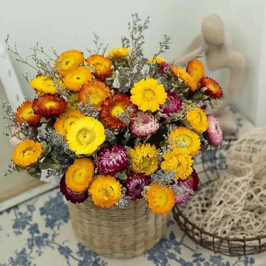 30Pcs Natural Multicolor Dried Daisy Flowers Stems-Dried Flowers Bouquet | Dried Flowers Bouquet for Vase, Farmhouse Rustic Wedding Home Decor, DIY Handmade Dry Flower Arrangement, Gift, Multi-Colored