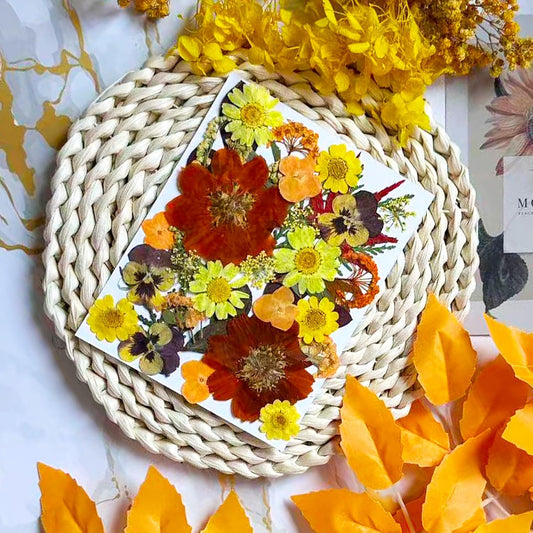 34 Pcs Yellow Dried Pressed Flowers for Resin, Real Natural Bulk Dry Wildflowers Leaves Perfect for Epoxy Molds, DIY Crafts, Nails Soap Candles Jewelry Making, and Home Decor