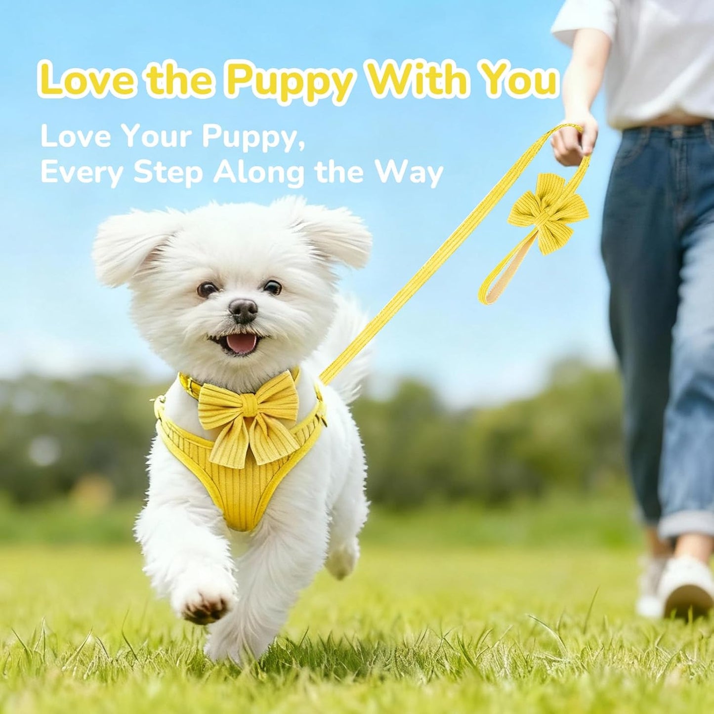 Small Dog Collar Harness and Leash Set, Dog Harness no Pull with Bowtie, Breathable Cotton Adjustable Pet Puppy Harness, Easy Walk Dog Harness, S(14–18.9")