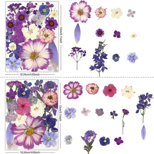 80Pcs Dried Pressed Flowers Purple, Real Natural Bulk Pressed Flowers for Epoxy Resin Nail Art Scrapbooking Candle Holders Jewelry Making DIY Crafts Pressed Flowers Kit Purple