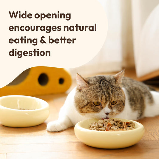 Pebble Pet Bowl Flat Yellow, Ergonomic Dog Cat Feeding Bowl, Flat-Faced Breed, Tilted Ceramic Pet Food Dish, Scooper Eater, Anti-Spill Design, Dishwasher Safe, Modern Pet Bowl, Dry & Wet Diet