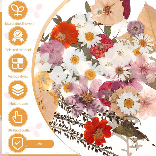 100 Pcs Dried Pressed Flowers, Real Natural Dried Wildflowers Leave with Tweezer Floral Decoration for DIY Crafts, Candle Making, Resin Mold and Bridal Scrapbooking Nails Decors Mixed Yellow