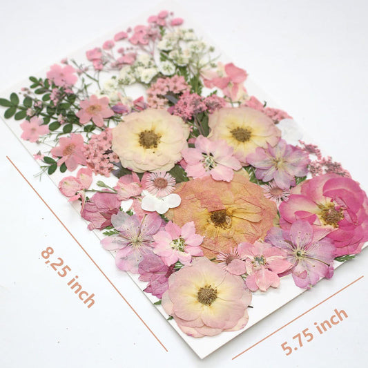 14 Types Pink Dried Pressed Flowers for Craft, Leaf Plant Herbarium for Resin Molds Jewelry Making Floral Decors (Peach Fuzz)