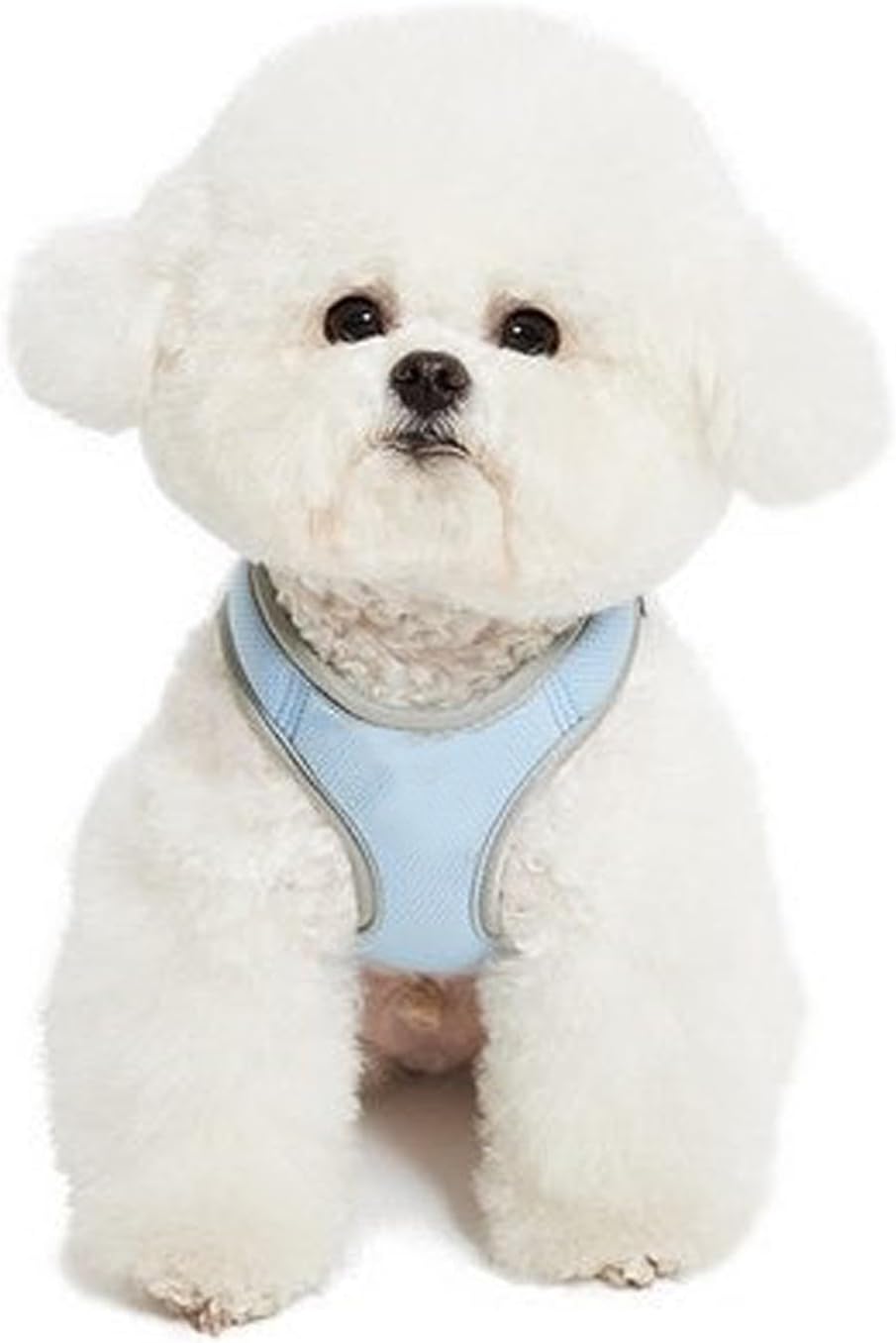 Pastel Basic Dog Harness – Adjustable Lightweight Mesh Pet Vest with D-Ring for Leash, Breathable & Comfortable, Fits Small/Medium Dogs XXS/XS/S, 5 Pastel Colors (Yellow, Small)
