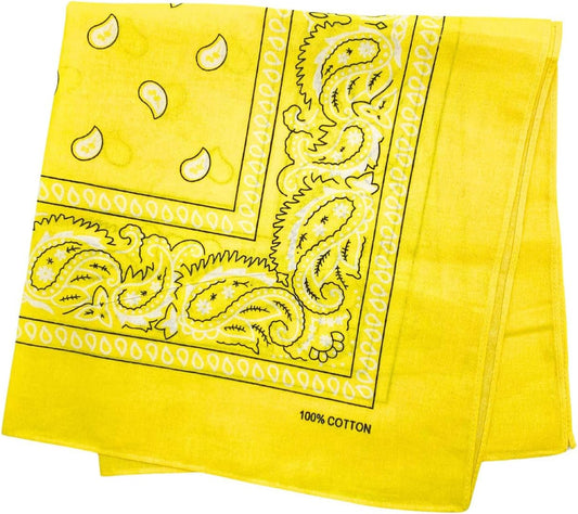 100% Cotton Bandana for Men & Women 22" x 22" Paisley Pattern Handkerchief Headband Scarf