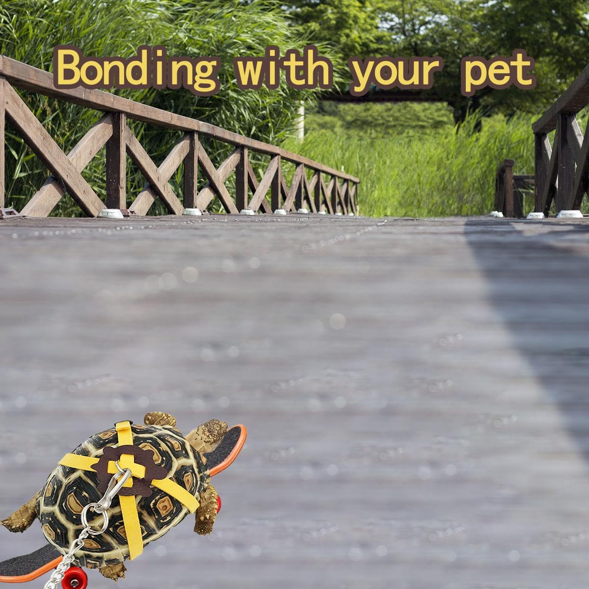 Turtles Playing and Training Toys Set, 1 Adjustable Tortoise Leash 2 Reptile Skateboards 2 Treat Ball, Turtle Fast Skate Accessory Funny Pet Mini Walking Skateboards for Parrot(Yellow Small)