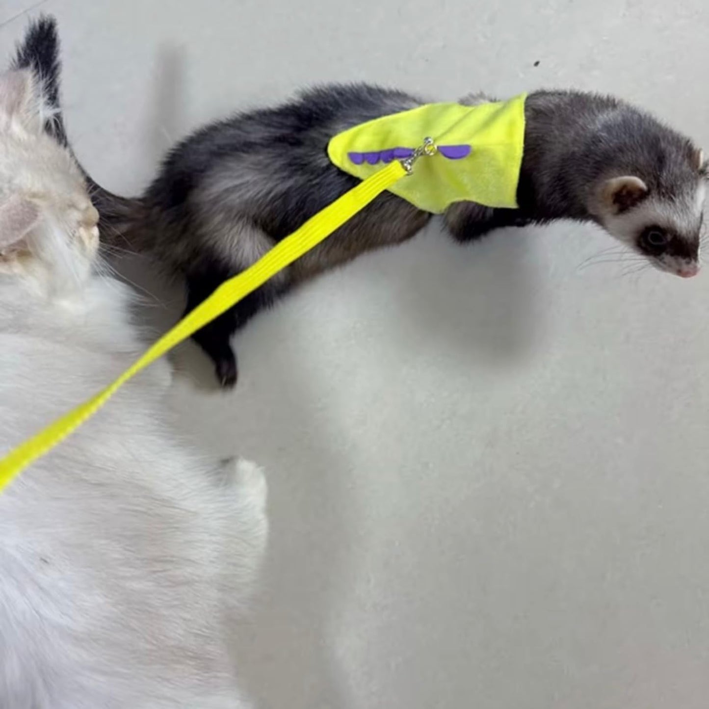 Ferret Harness and Leash Set Cute Dinosaur Design Soft Mesh Small Pet Harness Vest with Safe Bell Walking Clothes for Small Animals Ferret Rabbit Guinea Pig Squirrels (Yellow)