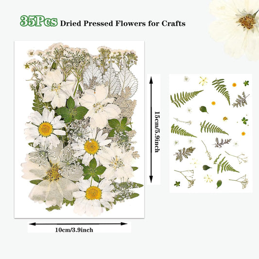 White Dried Pressed Flowers for Crafts,Real Natural Dried Flowers and Leaves for Resin Mold Scrapbooking DIY Candle Making Gifts(Modern Style)