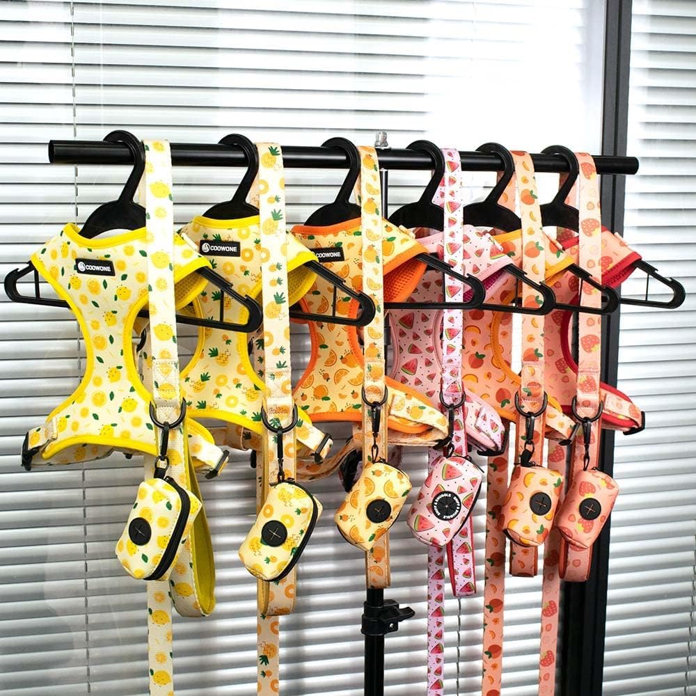 Dog Harness and Leash Set, Adjustable Dog Harness, Dog Leash, No Pull No Choke Puppy Harnesses for Walking Training for Small Medium Large Pet