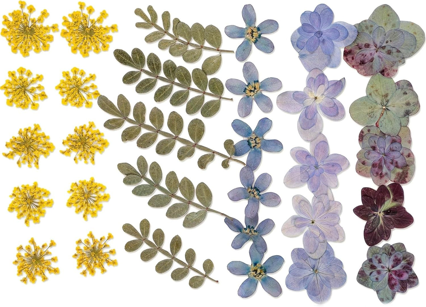 86pcs Pressed Flowers for Resin, Dried Flowers and Dry Leaves for Scrapbooking DIY Art Crafts, Epoxy Resin Jewelry Molds, Candle, Soap Making, Nails Décor