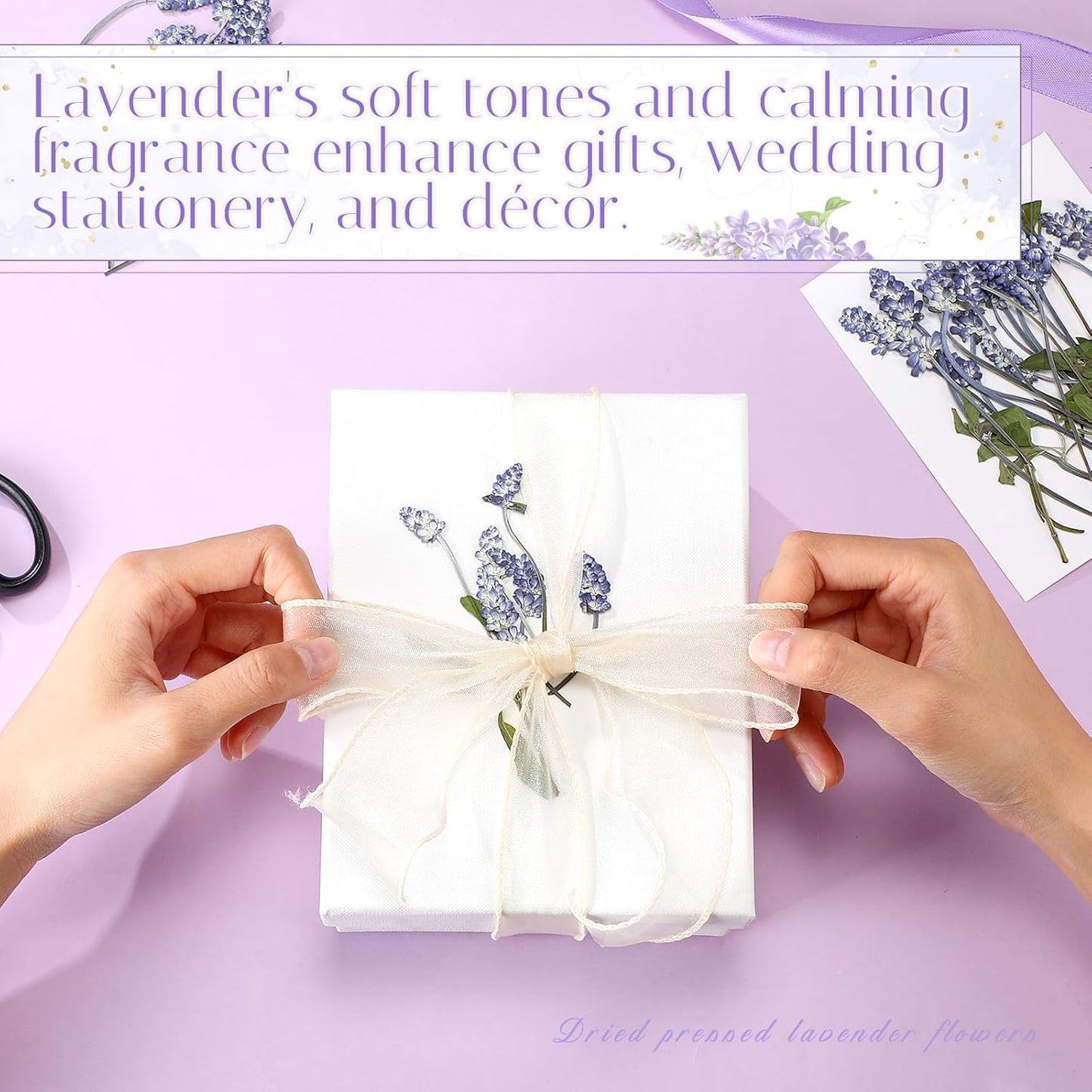 100 Pcs Pressed Dried Lavender Flowers Stems Natural Preserved Real Lavender Stems Dried Flowers for DIY Crafts Invitations Resin Art Scrapbook Card Gift Decoration