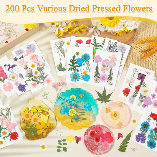 200 Pcs Small Dried Pressed Flowers Leaves for Resin Crafts, 20 Sheets | Real Dry Florals Bulk for Epoxy Molds, Candle Soap Scrapbook Bookmark Frame Making Supplies Kit, Nail Art Makeup Decor