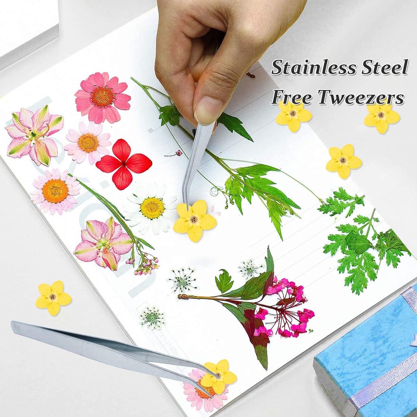 Dried Forget Me Not Flowers, 60PCS Yellow, Natural, DIY Craft, Resin Jewelry, Candle, Card Making, Nail Art, Flower Ornaments
