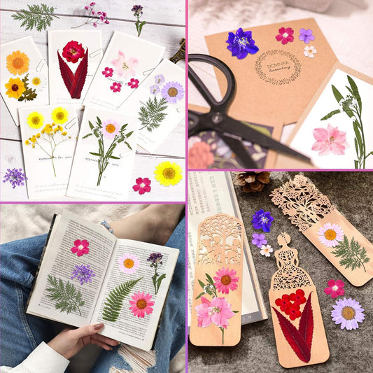 140 Pcs Dried Pressed Flowers for Resin, Real Pressed Flowers Dry Leaves Bulk Natural Herbs Kit for Scrapbooking DIY Art Crafts, Epoxy Resin Jewelry Molds, Candle, Soap Making, Nails DΓ©cor