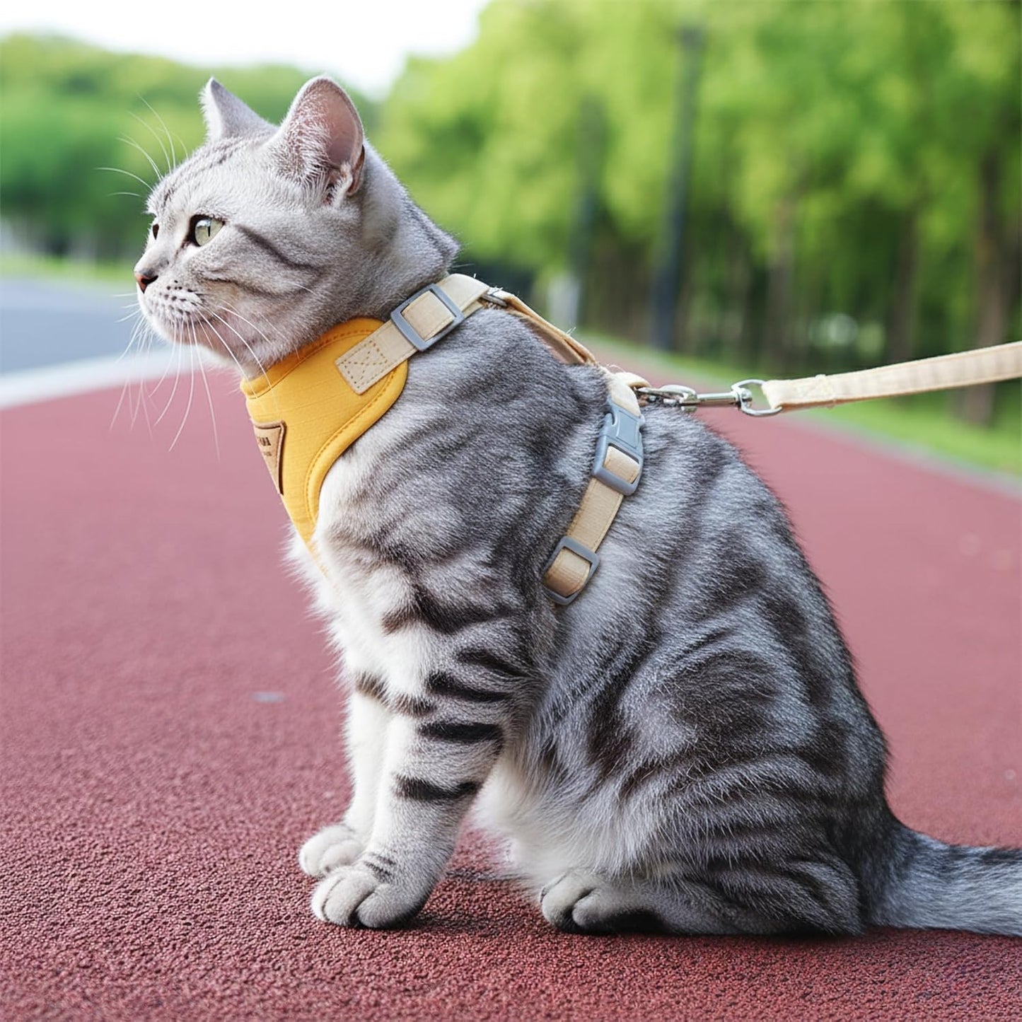 Escape-Proof Cat Harness and Leash Set - Adjustable and Comfortable - Ideal for Walking Cat Outdoors - Fits Small Dogs, Kittens, Medium, and Large Cats (Yellow, S)