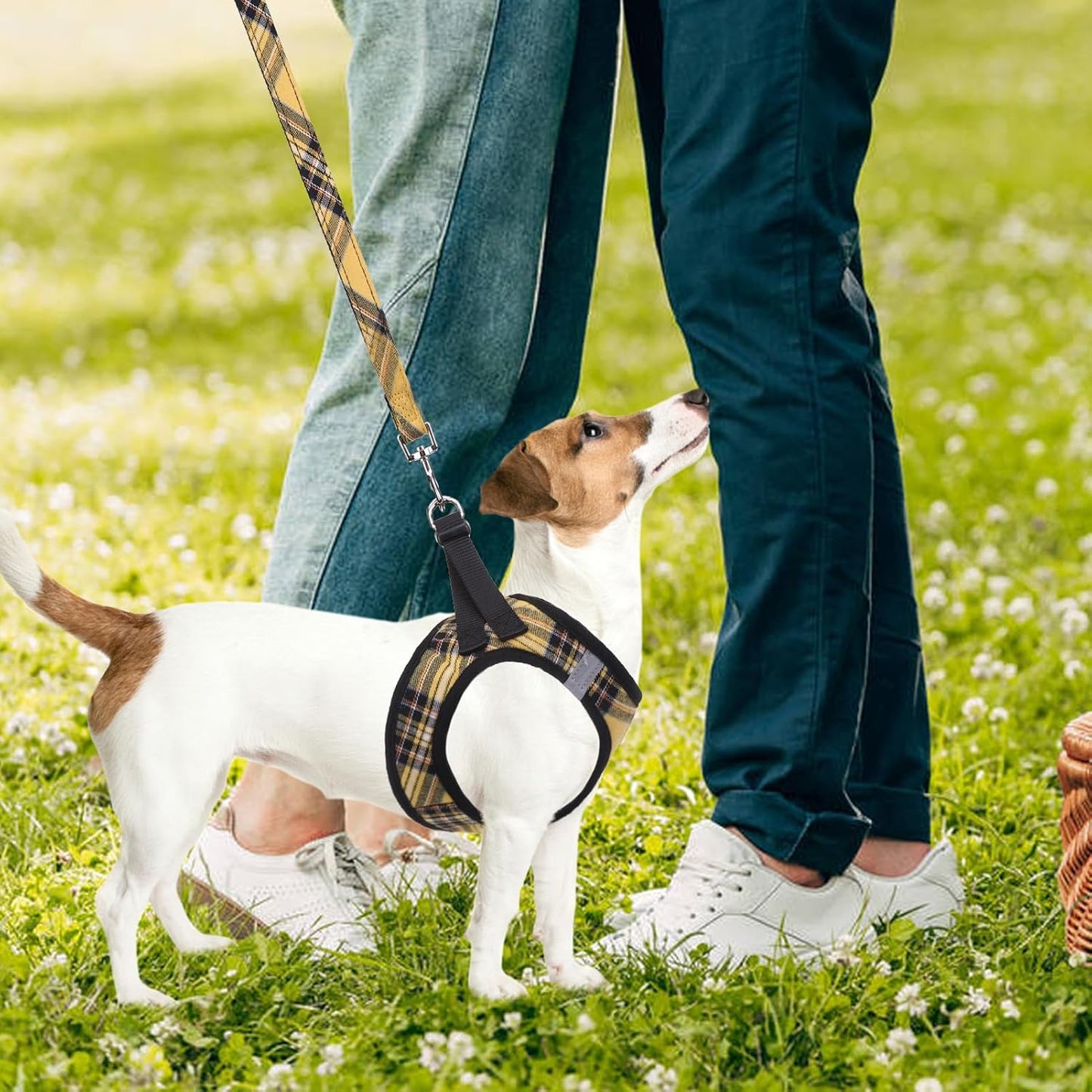 Adjustable Dog Harness Collar and Leash Set Step in No Pull Pet Harness for Small Medium Dogs Puppy and Cats Outdoor Walking Running, Soft Mesh Padded Reflective Vest Harnesses, Yellow, L