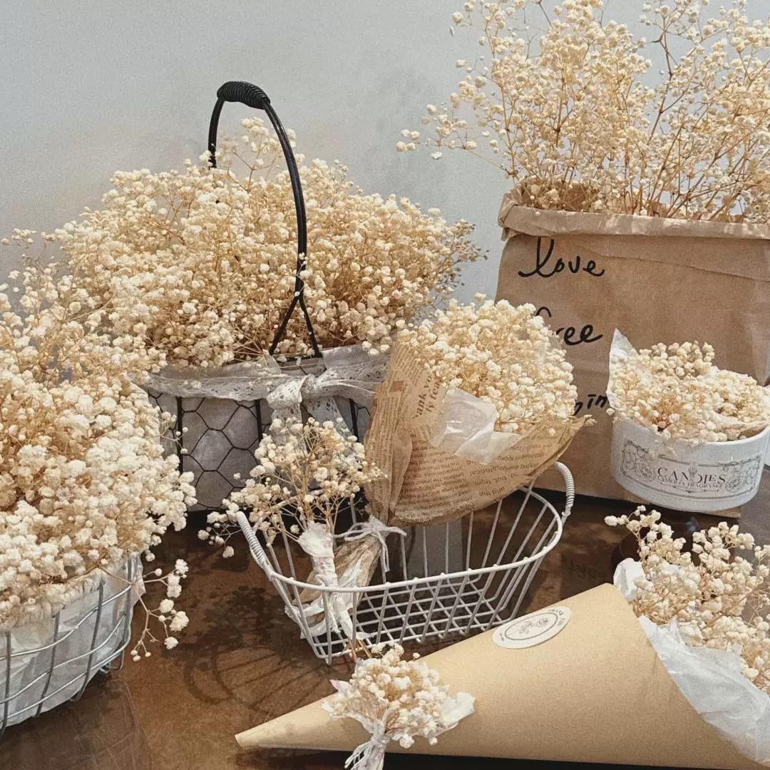 6500+ Mini Dried Baby's Breath Flowers, 6'' Natural Ivory White Flowers | 140Pcs Pressed Gypsophila Bouquet Present for Resin Art Craft DIY, Valentine's Day, Wedding Wreath, Card Making, Home Decor