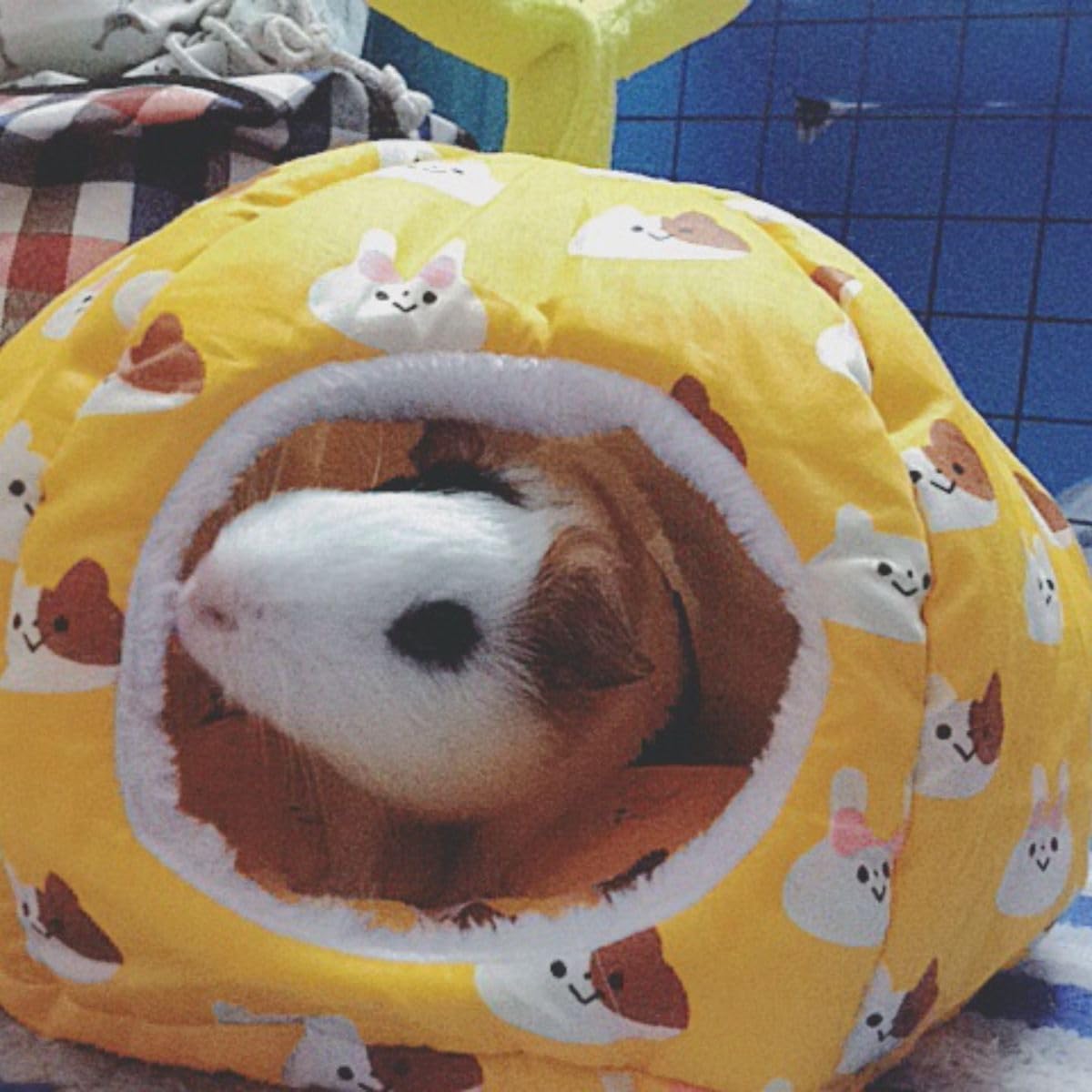 Small Animal Beds, Hamster Bed Cage Accessories Supplies, Rat Hideout Semi-Enclosed Winter Cartoon Nest for Dwarf Hamsters Gerbils Chipmunks (Yellow A,X-Small)