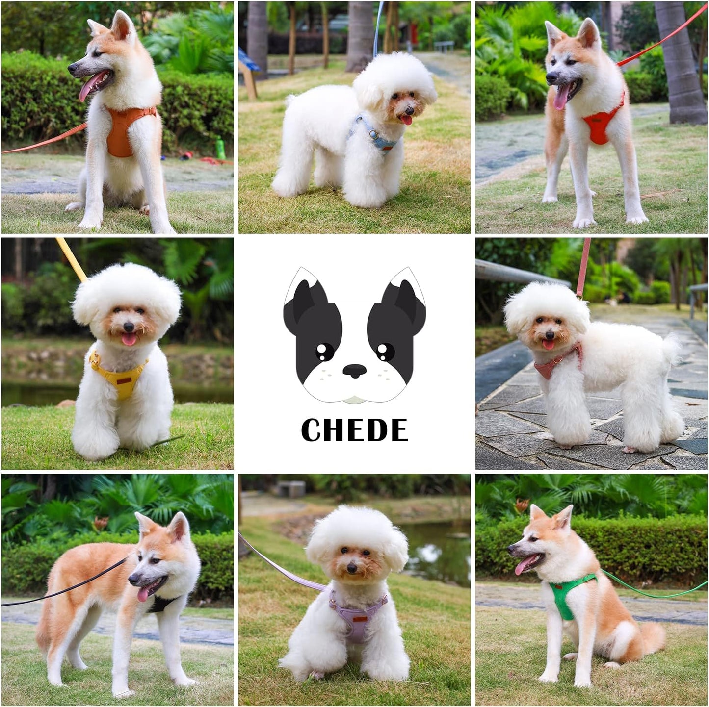No Pull Puppy Harness and Multifunction Dog Leash Set- 8 Colors Soft Adjustable No Choke Escape Proof Cute,Lightweight Pet Vest Harness for Small and Medium Dog (S, Yellow)