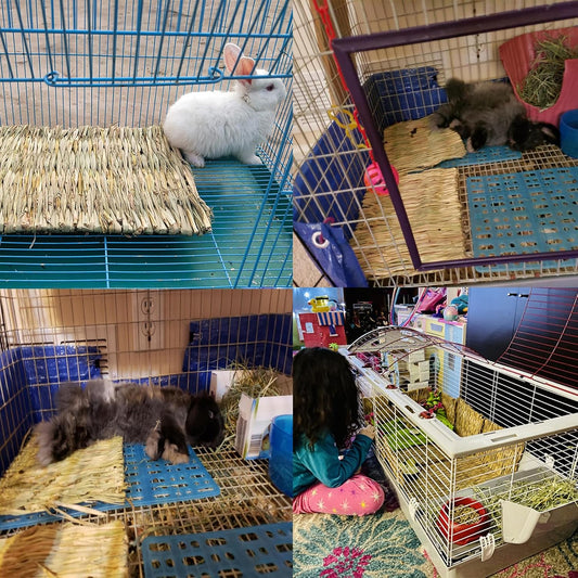 6 Pack Rabbit Grass Mat,Bunny Natural Straw Woven Bed,Small Animal Cages Hay Nest Sleeping,Chewing,Nesting and Toys for Rabbits Guinea Pig Hamster Hedgehog and Squirrel Bed Mat