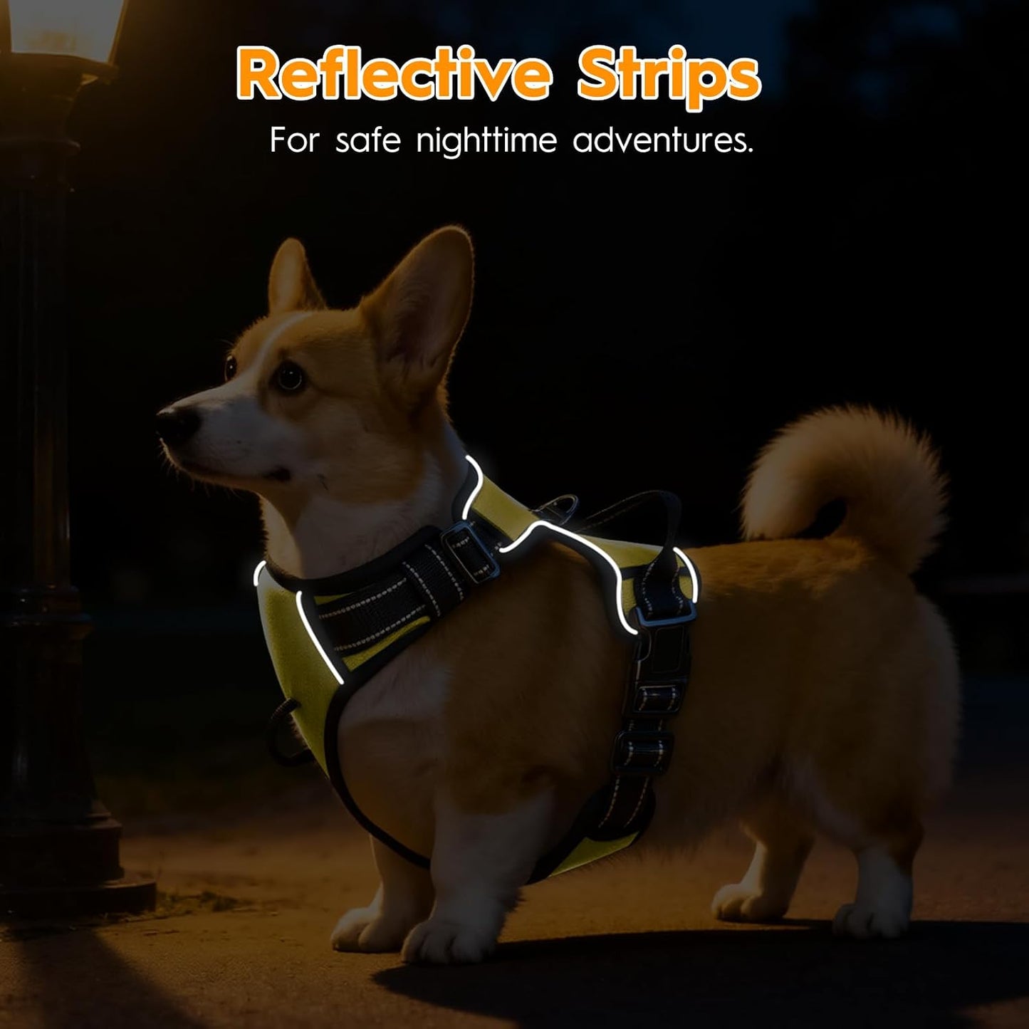 No Pull Dog Harness, No-Choke Soft Padded Reflective Dog Vest Harness with Front Clip & Top Handle, 2 Quick-Release Buckles, Adjustable for Small Medium Large Dogs