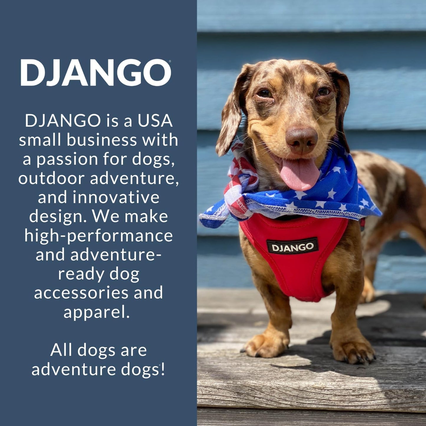 Adventure Dog Harness - Stylish Medium Dog Harness for Outdoor Adventures and Everyday Wear - Dandelion Yellow Neoprene Adjustable Harness for Dogs with Reflective Piping and Solid Brass D-ring