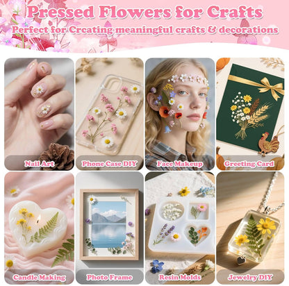 630 Pcs Dried Pressed Flowers with Butterfly Stickers for Crafts, Real Pressed Wildflowers Dry Leaves Bulk with Tweezer for Resin Jewelry Molds Candle Soap Making Scrapbook Bookmark Nails Decor