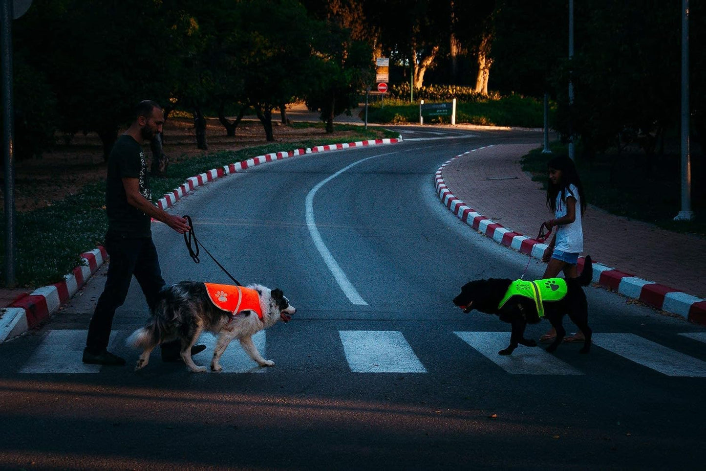 Upgraded Reflective Dog Vest. Hi-Visibility, Fluorescent Neon Yellow Dog Vest Helps Protect Your Best Friend. Safeguard Your PUP from Motorists & Hunting Accidents, On or Off Leash