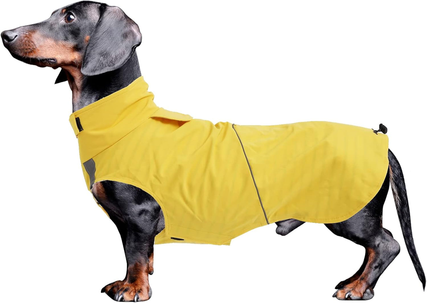 Dachshund Raincoat Weiner Dog Clothes Suitable for Dachshunds Corgi, Weiner, Dog Waterproof Coat with Reflective Stripe underbelly Protection - Yellow - XL