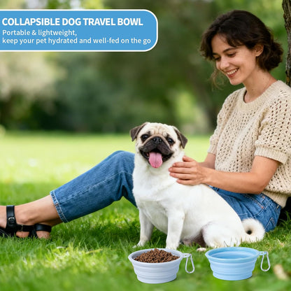 Collapsible Dog Bowl Silicone, 2Pack Macaron Color Pet Travel Bowls | Foldable Water Feeder Dish for Small to Large Dogs Cat Walking Hiking Camping (Macaron Light Green and Light Yellow, Small)