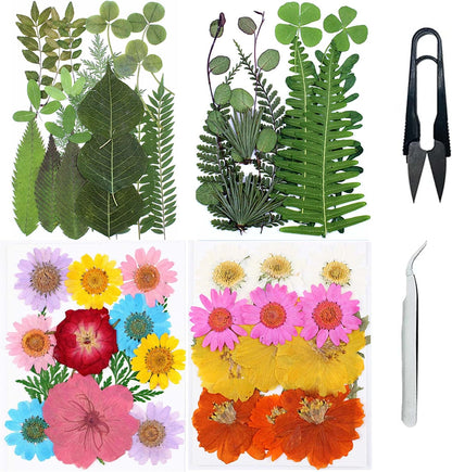 Natural Dried Pressed Flowers, Natural Dried Pressed Leaves, Natural Dry Flowers Leaves with Tweezers, Scissors for Pressed Leaf Art Craft DIY Embellishment Decorations ( Green Yellow Pink)
