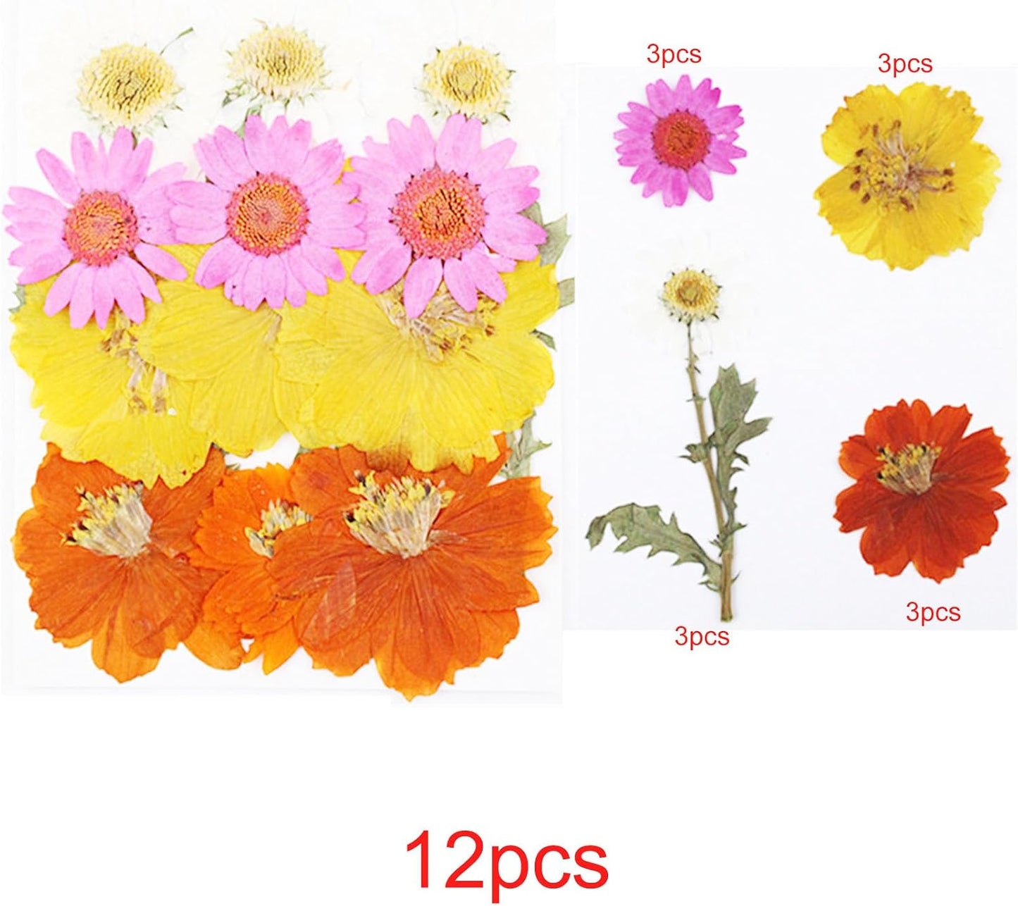 Natural Dried Pressed Flowers, Natural Dried Pressed Leaves, Natural Dry Flowers Leaves with Tweezers, Scissors for Pressed Leaf Art Craft DIY Embellishment Decorations ( Green Yellow Pink)