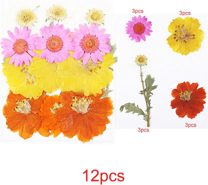 Natural Dried Pressed Flowers, Natural Dried Pressed Leaves, Natural Dry Flowers Leaves with Tweezers, Scissors for Pressed Leaf Art Craft DIY Embellishment Decorations ( Green Yellow Pink)