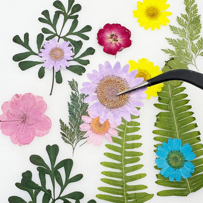 Natural Dried Pressed Flowers, Natural Dried Pressed Leaves, Natural Dry Flowers Leaves with Tweezers, Scissors for Pressed Leaf Art Craft DIY Embellishment Decorations ( Green Yellow Pink)