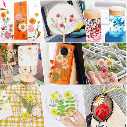 Natural Dried Pressed Flowers, Natural Dried Pressed Leaves, Natural Dry Flowers Leaves with Tweezers, Scissors for Pressed Leaf Art Craft DIY Embellishment Decorations ( Green Yellow Pink)
